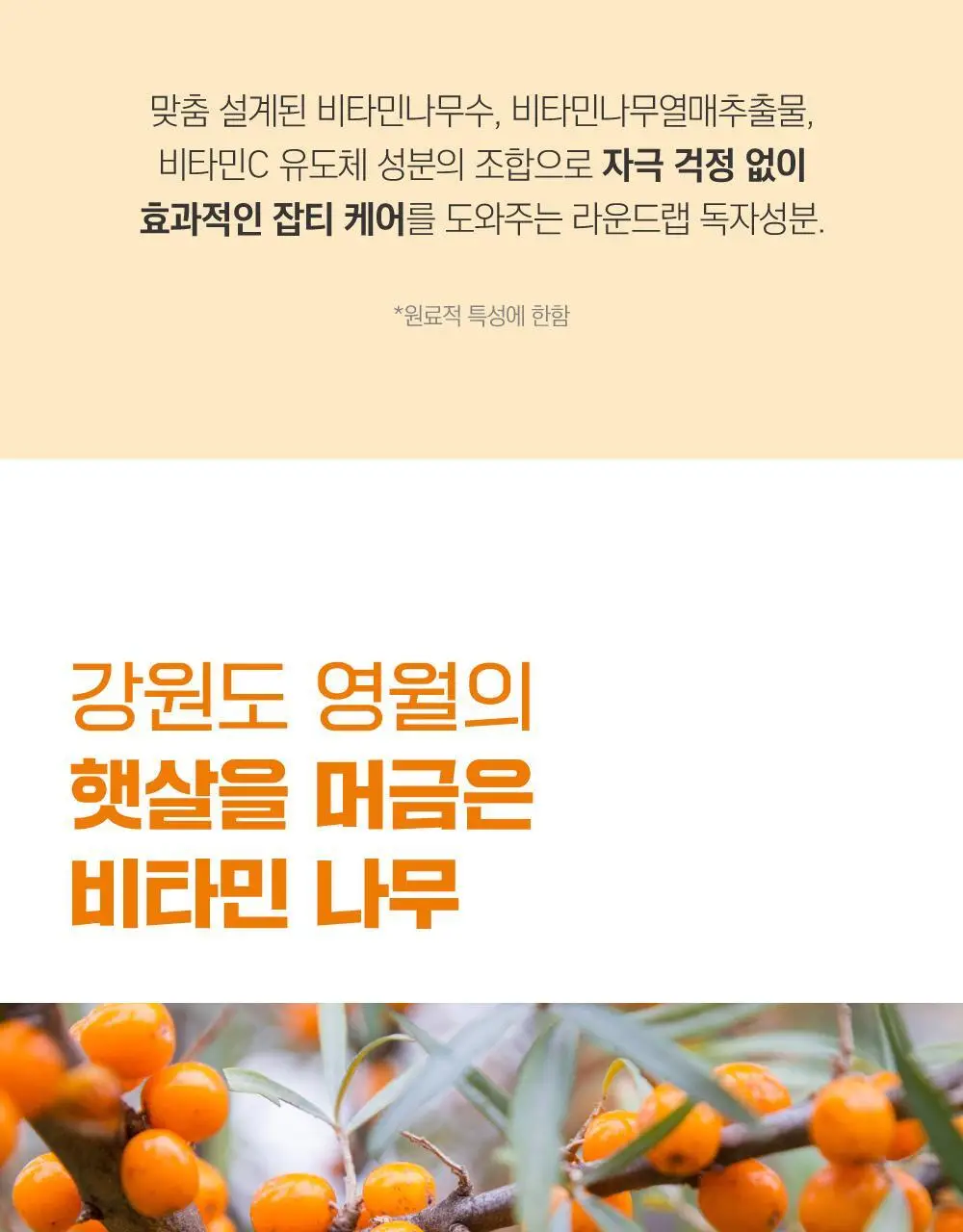 [미백/잡티케어] 라운드랩 비타 나이아신 잡티 세럼 마스크 1매 (온) 상세페이지 5